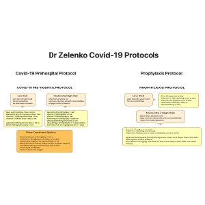 Screenshot 2021-09-13 at 21-08-42 Dr Vladimir Zelenko MD.png